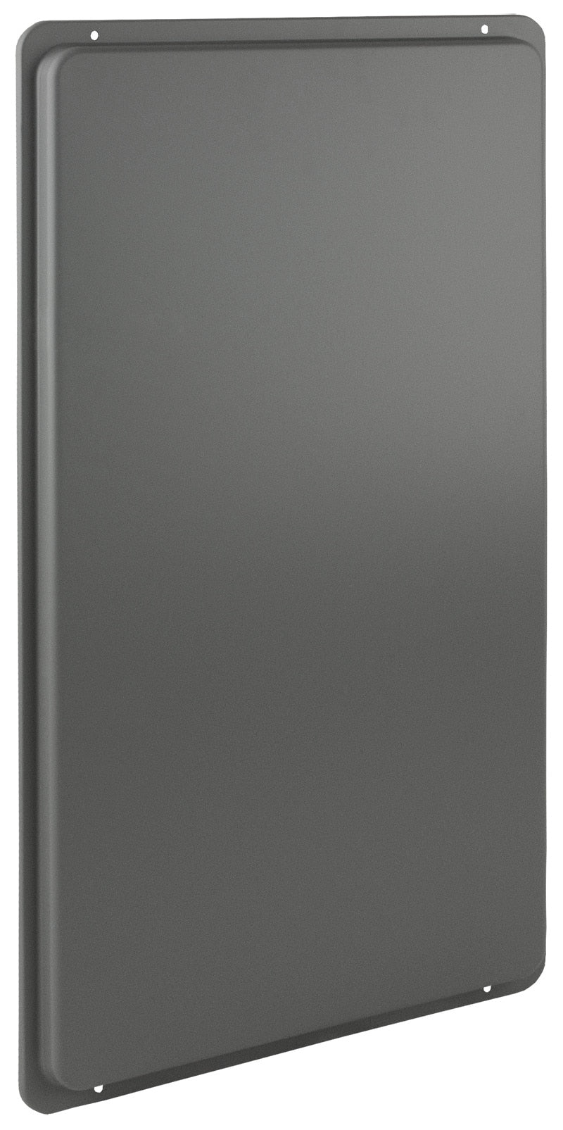 Rheem RTG20212BA Replacement Door - 95DV