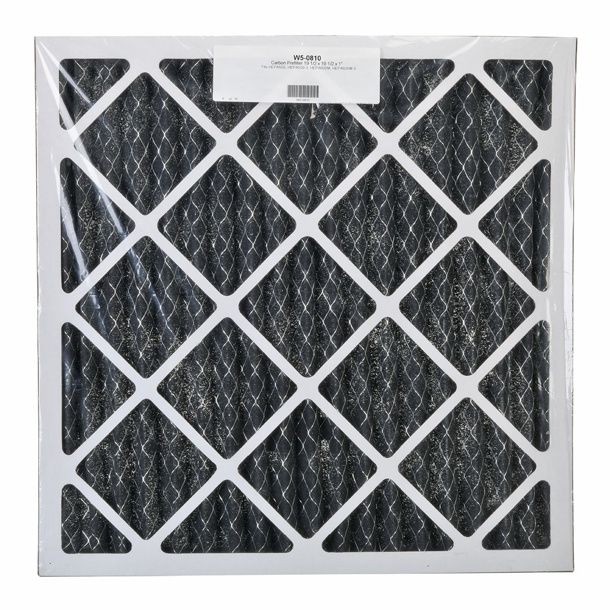 Rheem W5-0810 Prefltr 1 Rchepa 550-3/600M-3