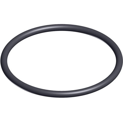 Hayward SX200Z4PAK2 Valve O-Ring, 2-Pack