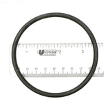 Jandy R0445500 R0558800 R0449200 APCO2339 R0446300 Seal Kit for Phpf/Phpm Pool Pumps Repair Go Kit