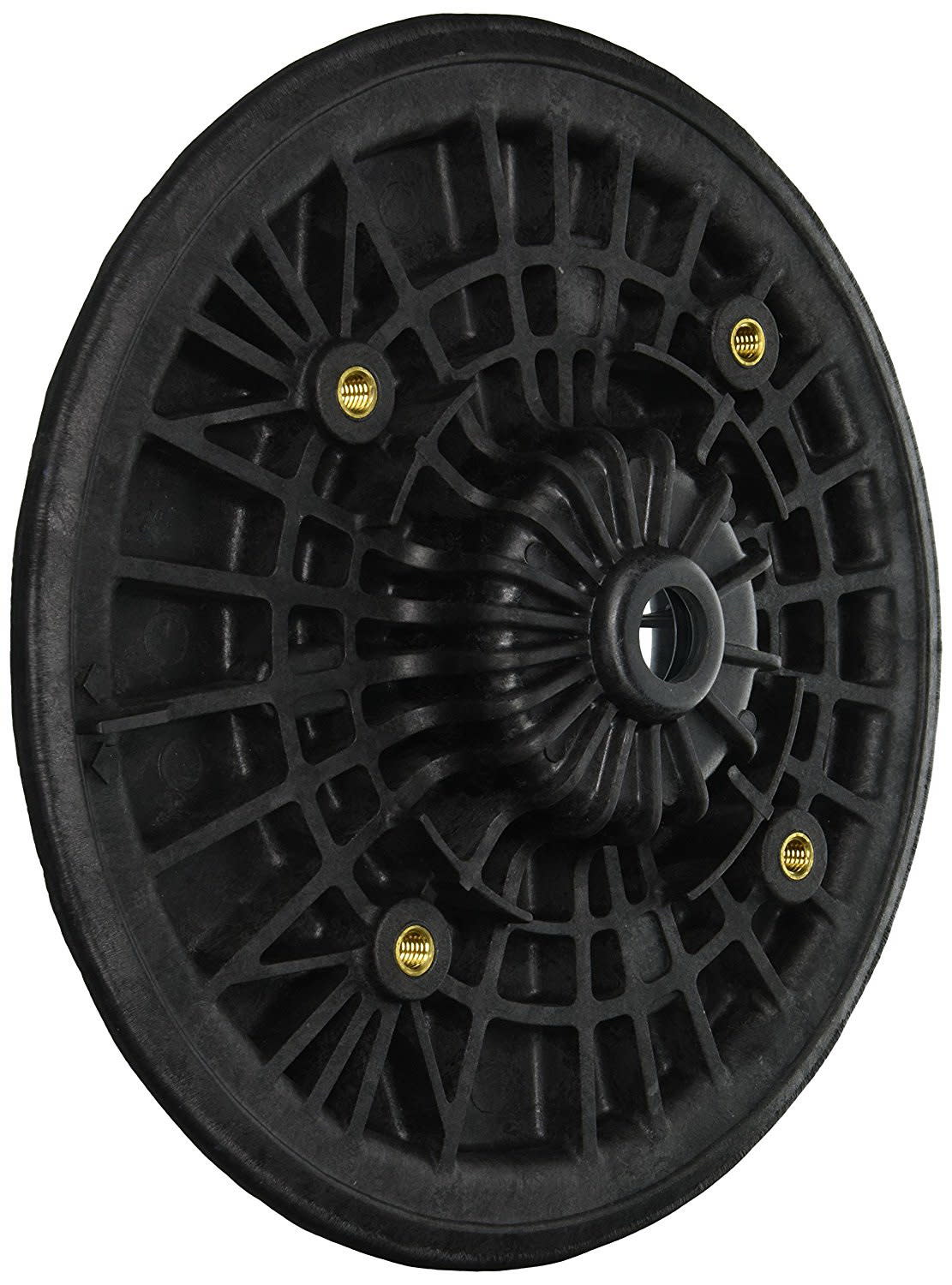 Pentair 355004 Challenger Seal Plate, Black