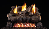 Real Fyre Evening Fyre See-Through Vent-Free Gas Log Set