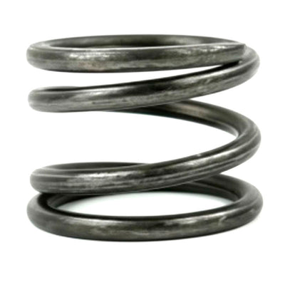 Tuff Torq 19215425200 Pump Spring