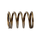 Tuff Torq 19215427281 Spring 25