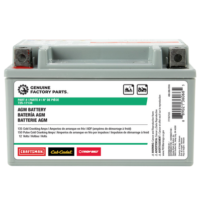 Cub Cadet 490-280-F016 AGM Battery - 12 Volt, 135 CCA, 7 aH